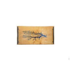 Lichtenberg Figure Resin Art Serving Tray