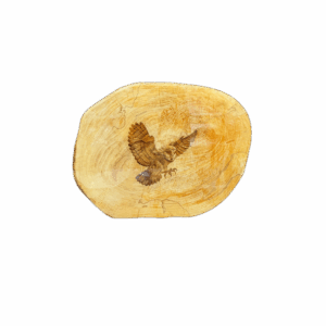 Oval Owl Board
